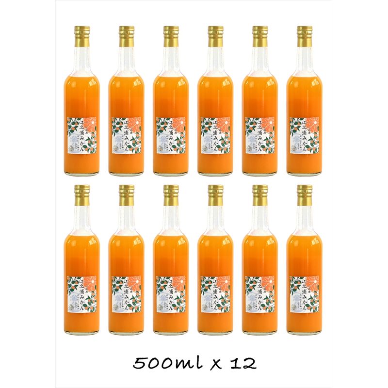 【ふるさと納税】【定期便（2カ月ごと全4回）】小田原産江之浦みかん100％ストレートジュース500ml12本