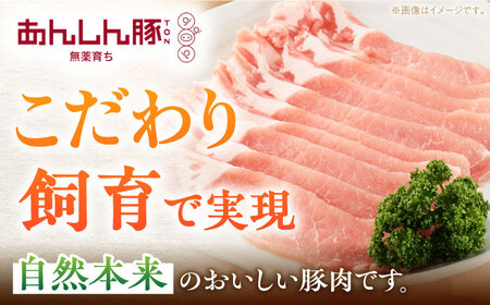 【6回定期便】 《バラ凍結》 ローススライス 1kg （500g×2袋） 豚肉 小分け 薄切り ロース 冷凍 白川町 / 藤井ファーム[AWAF051]