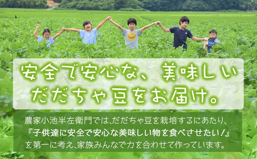 【令和8年産先行予約】朝採りだだちゃ豆 【早生】1.5kg (500g×3袋) 枝豆　小池半左衛門