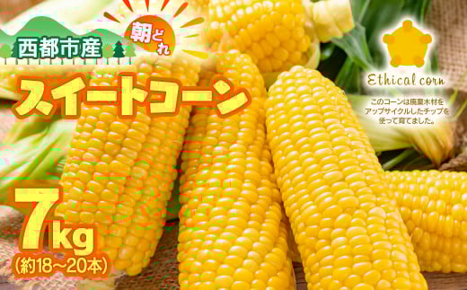 今が旬！初夏の味覚! 朝どれ スイートコーン ゴールドラッシュ7kg＜1-31＞西都市産とうもろこし