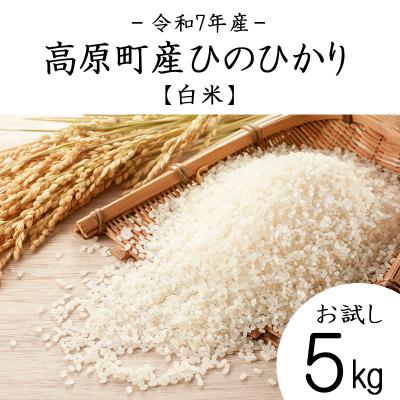 ふるさと納税 高原町 【令和7年産 新米】宮崎県高原町産ひのひかり白米5kg TF854