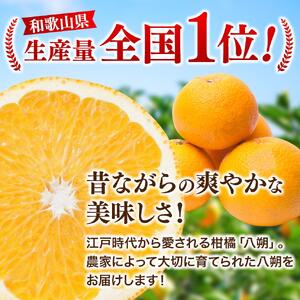 ＜先行予約＞厳選はっさく5kg+250g（傷み補償分）＜１月より発送＞/ 八朔 はっさく ハッサク 柑橘 フルーツ 果物 和歌山【ikd221】