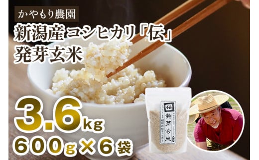 【令和7年産新米】[発芽玄米] 新潟産コシヒカリ「伝」発芽玄米3.6kg（600g×6袋）《9月下旬～順次出荷》 かやもり農園