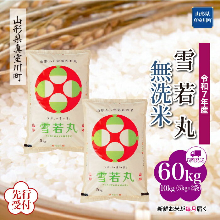 【ふるさと納税】 ※先行受付※ 令和7年産 真室川町厳選 雪若丸 ［無洗米］ 60kg 定期便（10kg×6回お届け）