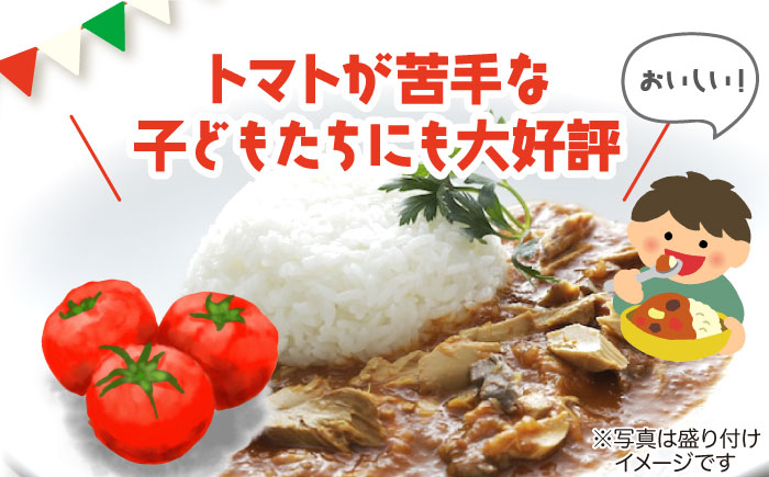 【全12回定期便】漁師のカレー サバのトマトカレー5個セット【奈留町漁業協同組合】 [PAT018]