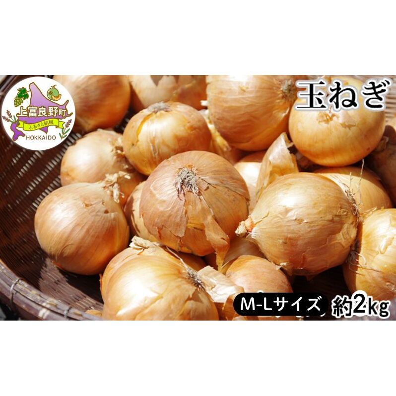 【令和8年産】北海道 上富良野 玉ねぎ 約2kg（ M-L サイズ ） 野菜 たまねぎ オニオン 産地直送 新鮮 ふらの