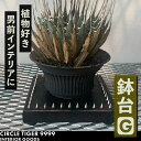 【ふるさと納税】1点モノ 鉢台 G《豊前市》【CIRCLE TIGER 9999】インテリア 植物 グリーン 室内 観葉植物[VCS007] 46000 46000円