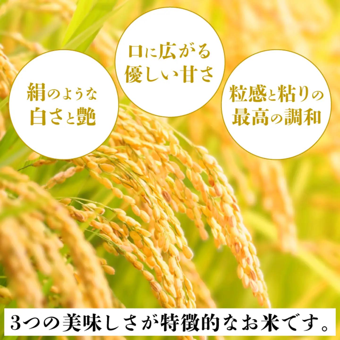 いちほまれ　パックご飯　18食　お米 食卓