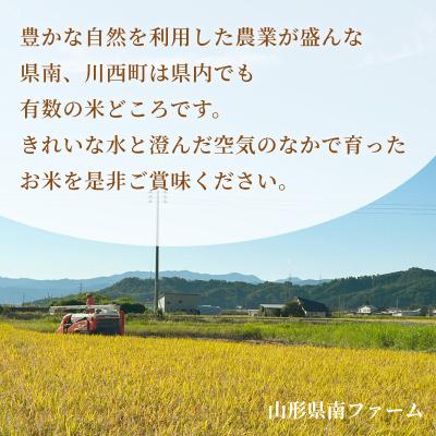 ふるさと納税 川西町 【令和7年産】 山形県産【つや姫】精米 10kg(5kg×2袋) |  | 02