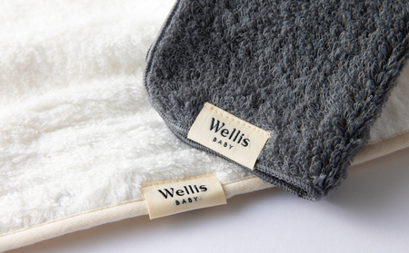 Wellis BABY【大切なお子様を優しく包む】抱っこ紐カバー（009_5221）