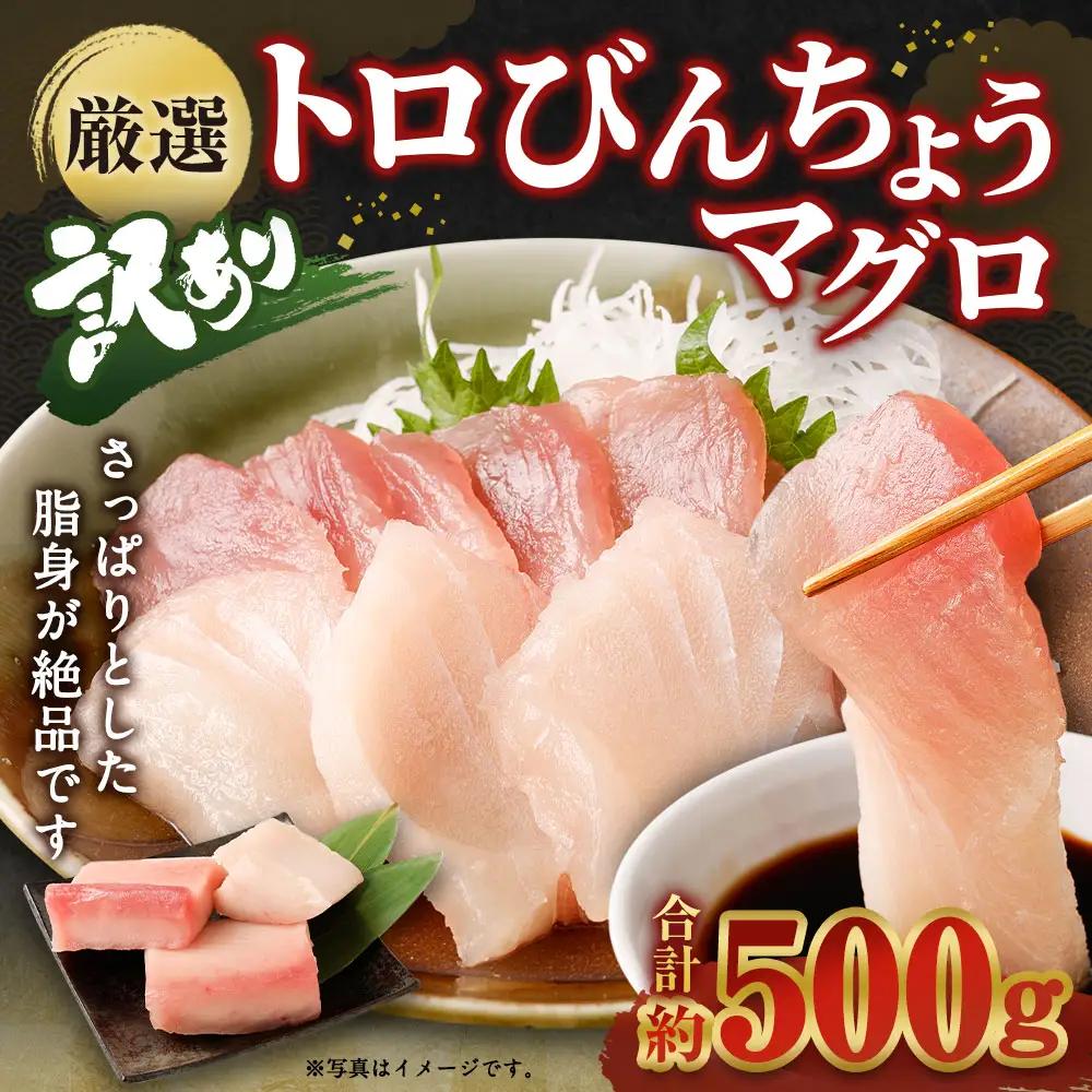ge014　船元直送！約500gビンチョウマグロ・天然マグロ