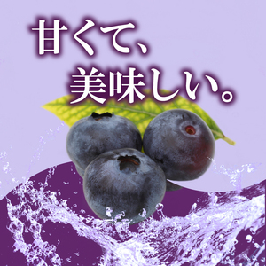 【2週間発送】 果肉ごろごろ ブルーベリージャム (120g×5個) ゲル化剤を不使用の手作りジャム！冷蔵便 四国 徳島 小松島 【送料無料】｜ゲル化剤 ( ペクチン ) 不使用 | ブルーベリー ジ
