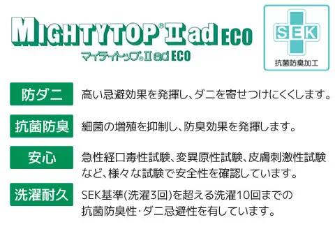 ヌード 中材 背当クッション 帝人 防ダニ 抗菌防臭2個セット_【G0813】