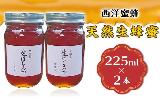 天然生蜂蜜（西洋蜜蜂）2本セット【ハチミツ 蜂蜜 はちみつ 生蜂蜜 蜂 お菓子 瓶タイプ 砂糖 甘い 濃厚】