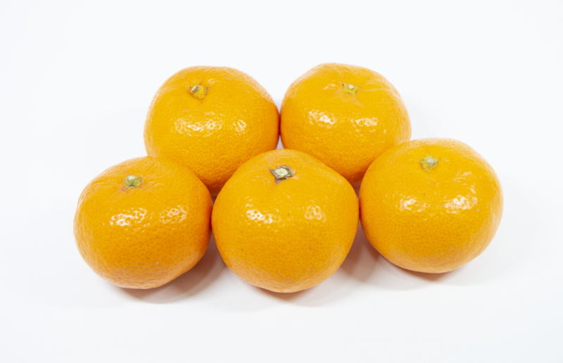 【ふるさと納税】【配送不可地域：北海道・沖縄県・離島】曽保みかん食べくらべ（3回定期便）  みかん 3ｋｇ 5ｋｇ 13ｋｇ お取り寄せ 国産 旬 新鮮 産地直送 高級 詰め合わせ 詰合せ フルーツ 