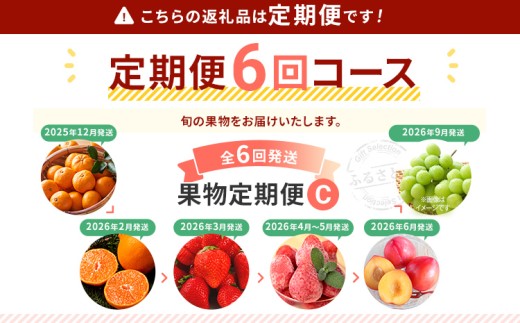  【定期便 6回発送】果物定期便C 2025