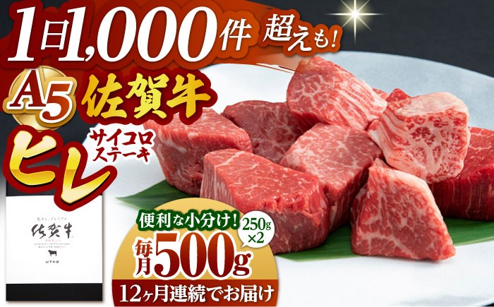 
【全12回定期便】佐賀牛 ヒレ サイコロステーキ 500g ( 250g×2パック )【山下牛舎】 [HAD074]
