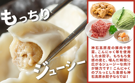 神石高原水餃子 1袋20個入り NPO法人nina神石高原《60日以内に出荷予定(土日祝除く) 》広島県 神石高原町 餃子 中華 肉 野菜 送料無料