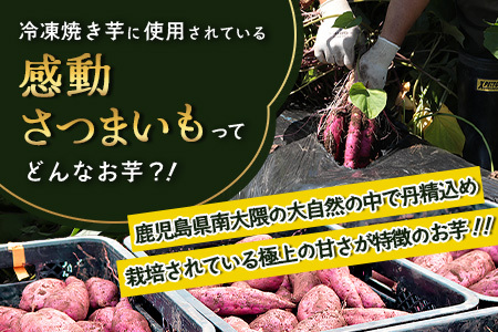 【冷凍焼芋】感動さつまいも 500g×3パック 熟成紅はるか FR-503 | サツマイモ 焼き芋 熟成芋 長期熟成 冷凍 スイーツ お菓子 甘い お中元 お歳暮 ギフト プレゼント 保存料不使用 鹿