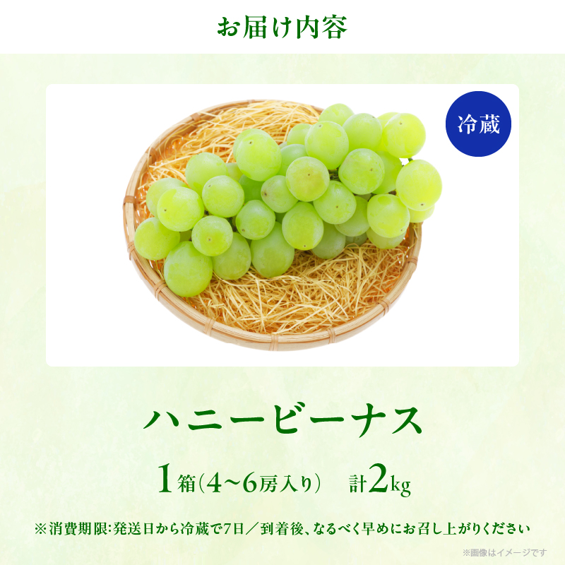 先行予約≪期間限定≫都農町産ハニービーナス(計2kg) ぶどう フルーツ 果物 デザート 国産_T015-0035