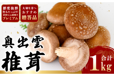 「奥出雲椎茸」プレミアム贈答品【椎茸 生しいたけ 1kg 収穫直後 サイズ混合 新鮮 旨味たっぷり 菌床栽培 国産 きのこ キノコ 野菜 料理 食品 産地直送 自宅用】