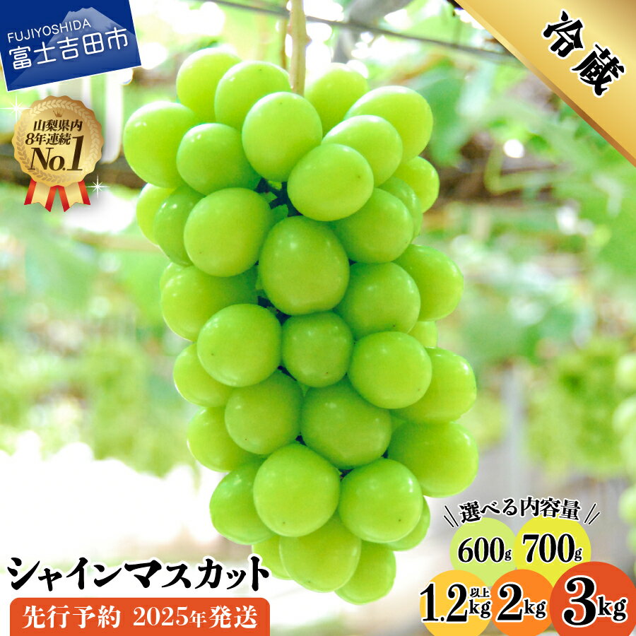 山梨県 シャインマスカット お楽しみセット 2房1kg