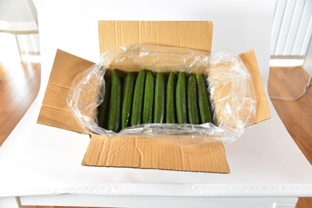 ＜【3ヵ月定期便】【期間限定】宮崎県産きゅうり(約2kg)×3回＞(3本入り×5袋)×3回)パリッと甘い魔法のキュウリ「マジキュー」漬物や天ぷらに！【MI201-yt】【ゆたか農園】