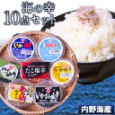 【ふるさと納税】内野海産の海の幸10点セット《45日以内に出荷予定(土日祝除く)》あみ漬 いか たこ 海苔 佃煮 塩辛 いかすみ