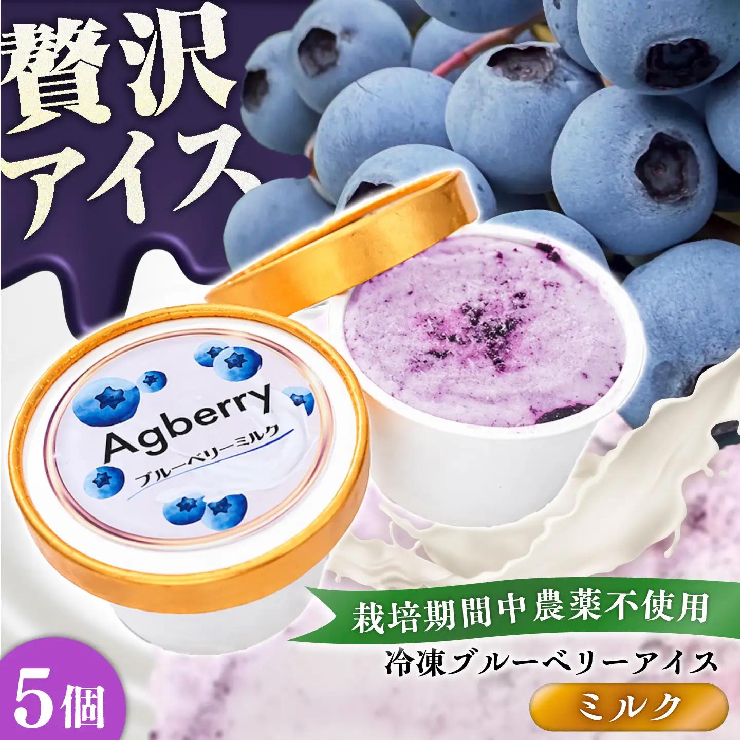 冷凍ブルーベリーアイス(ミルク) 計5個 アイス BHCX016