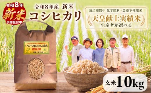 【2026年9月中旬より順次発送】令和8年産 新米 コシヒカリ 10kg（玄米） 天皇献上米 (栽培期間中）化学肥料・農薬不使用米 玄米 こめ ご飯 備蓄米 ごはん 環境 に優しい 小松島 上王子特質米 10kg