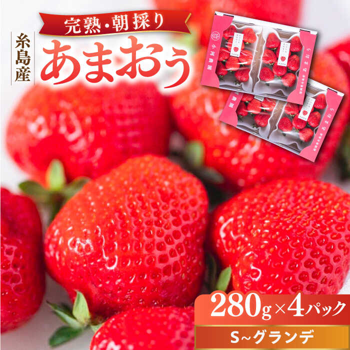 【ふるさと納税】【先行受付】＼農園直送！／ 糸島産 完熟あまおう 280g×4パック (S〜グランデサイズ) 糸島市 / 小河農園【2026年3月以降順次発送】 [AJN004] いちご フルーツ 果物 18000円 1万8千円