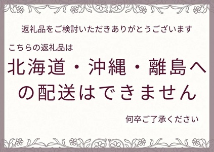 無垢材 + アイアンラック 幅86cm【受注生産】オープンラック