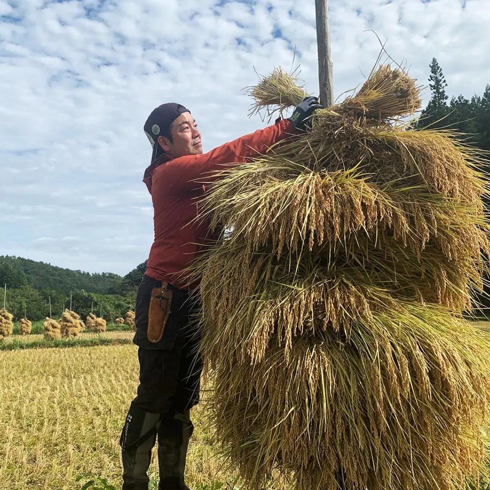 【玄米】令和7年産 (栽培期間中)農薬化学肥料不使用・天日干し自然乾燥のお米 10kg×1袋