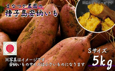 【  新物 ・ 先行予約中 】 種子島 まなつか農園 種子島安納いも  ( 生いも ) Sサイズ　NFN486【300pt】