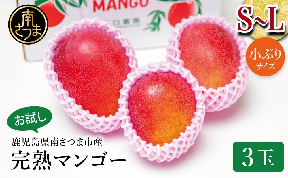 
            【数量・期間限定】 鹿児島県産 完熟マンゴー S～Lサイズ 3玉 ＜2026年 先行受付＞ お試しにぴったり ご家庭用 アップルマンゴー アーウィン種 果物 フルーツ 国産 鹿児島県南さつま市金峰町産 東口農園 南さつま市
          