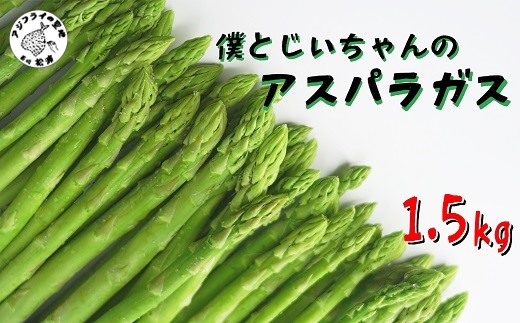 僕とじいちゃんのアスパラガス1.5kg( アスパラガス 朝採れ新鮮 新鮮 野菜 期間限定 )【B1-127】