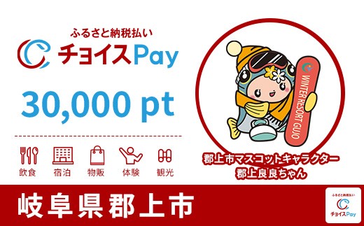 
                  郡上市チョイスPay 30,000pt【会員限定のお礼の品】
                