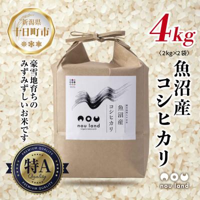 ふるさと納税 十日町市 【令和7年 新米予約】 農家直送 魚沼産 コシヒカリ 4kg 新潟県 十日町市 のうランド