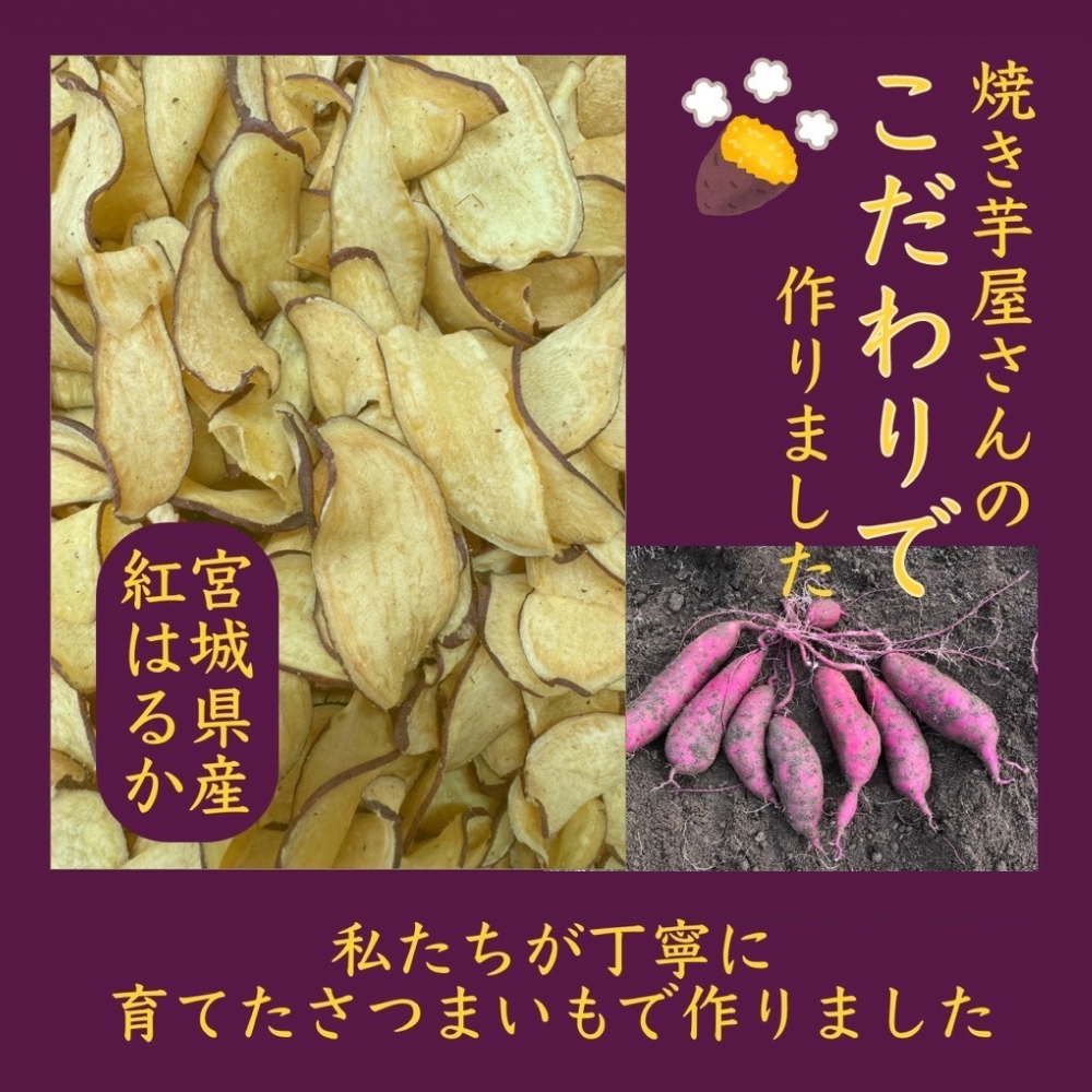 焼き芋屋が作るさつまいもチップス&干し芋 干し芋 さつま
