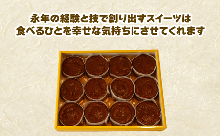 アルザス 選べる 千鳥ショコラ 12個 冷凍 ガトーショコラ チョコケーキ 愛知県 南知多町 [配送不可地域：離島]