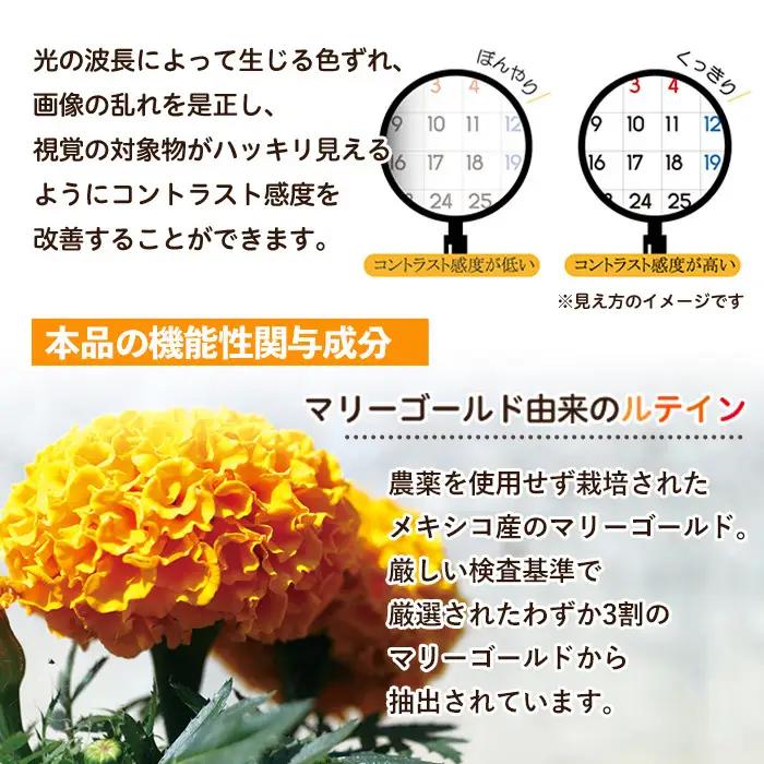 No.1291 ＜機能性表示食品＞ルテイン(1袋 62粒入り)  鹿児島 日置市 健康食品 加工食品 サプリ サプリメント 栄養バランス 食生活 安心安全 目 ブルーライト 保護 頒布会 配送回数  