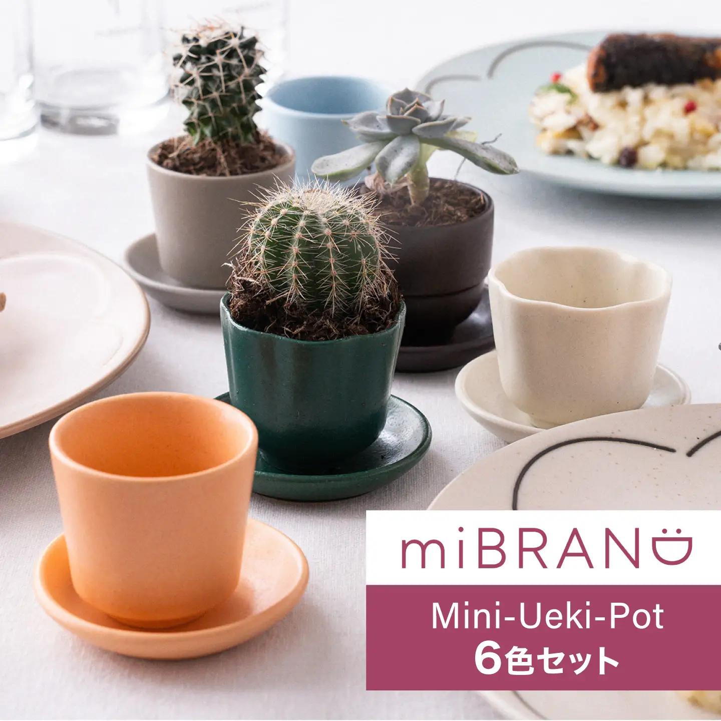 【美濃焼】miBRAND Mini-Ueki-Pot 植木鉢【６色セット】ポット 鉢 植物[MCG075]