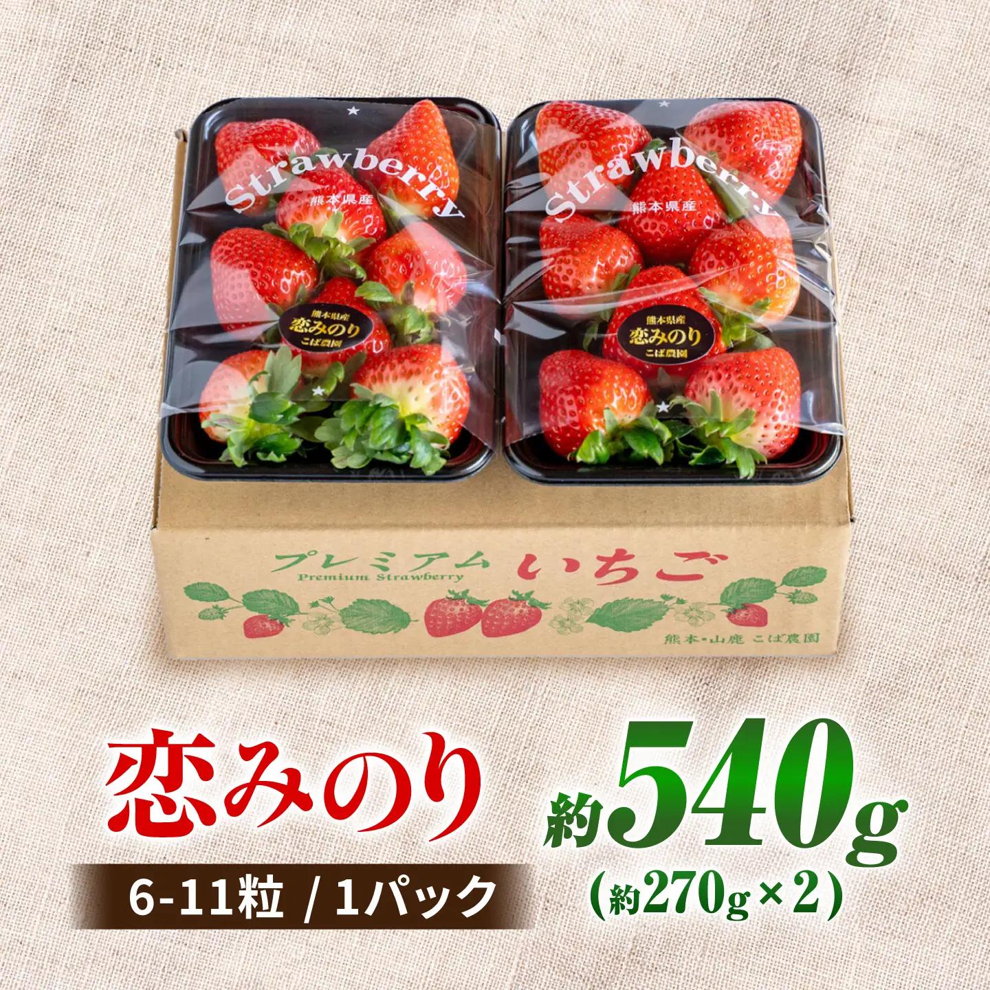 【先行予約】 いちご 恋みのり 約540g(約270g/6~11粒×2p)産地直送こば農園 熊本苺イチゴフルーツZFO001