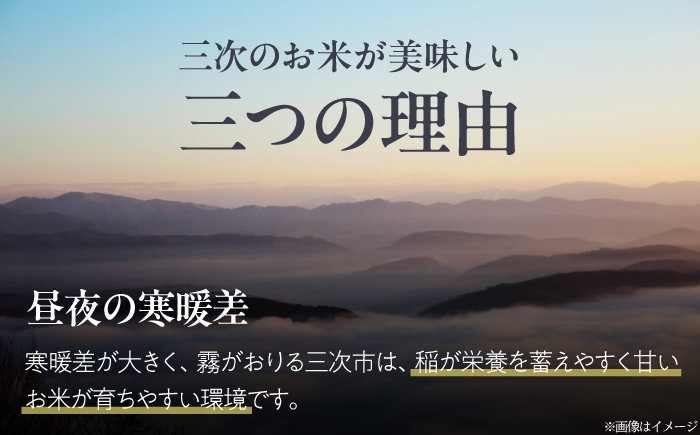 米 こしひかり 30kg 米 お米 白米 精米 こめ おこめ ごはん ストック 国産 広島県 三次産 コシヒカリ お米 30キロ