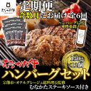 【ふるさと納税】【奇数月にお届け】むなかた牛ハンバーグ12個セット(むなかたステーキソース付き)定期便【すすき牧場】_HB0145 送料無料オテルグレージュ 総料理長監修 絶品ソース 冷凍 180日 柔らかい ジューシー からだにやさしい 赤身 1個150g 12個 お弁当