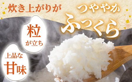 【ふるなび限定】新米 定期便 青森県産米 はれわたり 5kg 6回定期便 特Ａブランド米 FN-Limited-PR