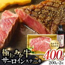 【ふるさと納税】熊本県産 あか牛 サーロインステーキセット 200g×2枚 熊本 褐牛 あかうし 褐毛和種 肥後 冷凍 国産 牛肉【有限会社 三協畜産】[YCG045]