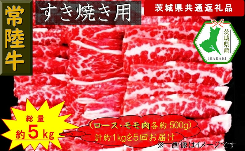 【ふるさと納税】【5か月定期便】【常陸牛】すき焼き用肉 約1kg【定期便】計5回 総量約5kg（茨城県共通返礼品）【常陸牛　茨城県産　日立市】