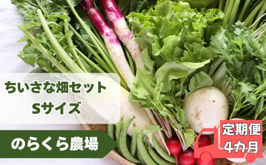 【先行受付・2025年発送】定期便4カ月　有機野菜ちいさな畑セット（Sサイズ　１～２人前）（NK-T520）