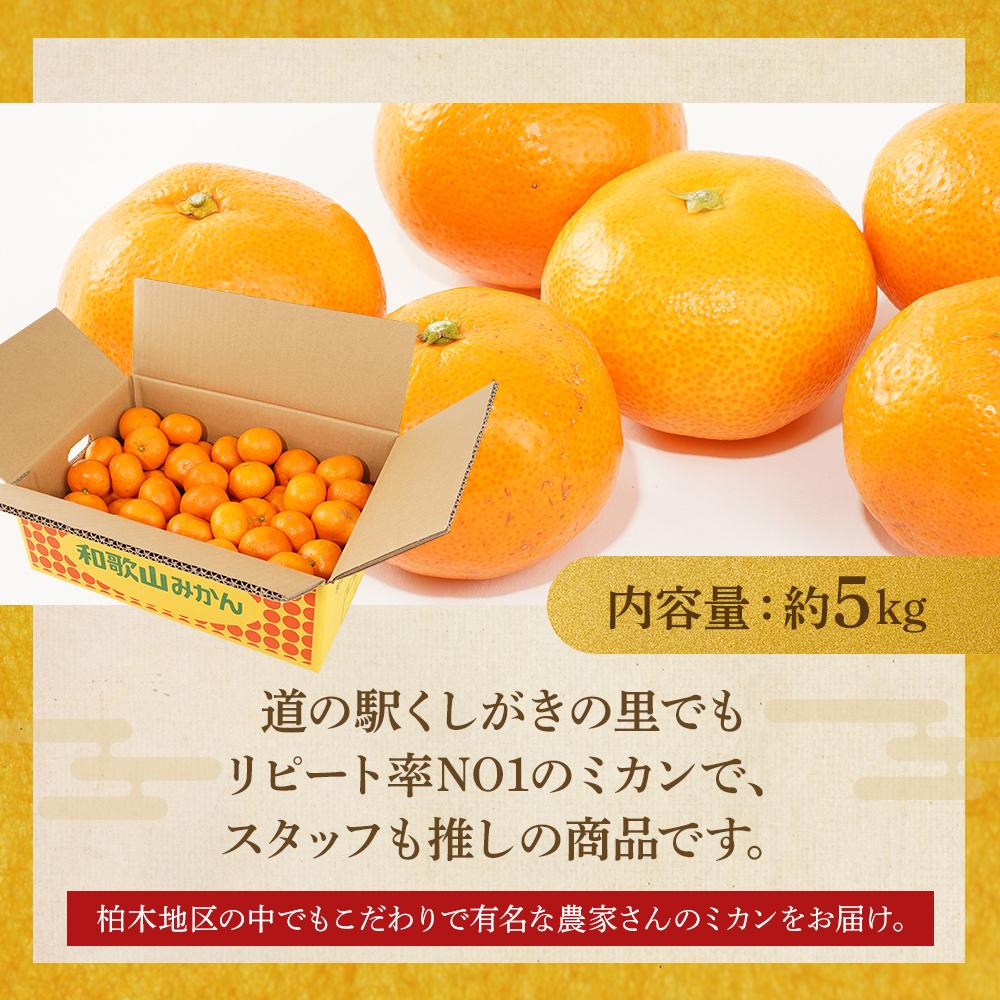 ［先行予約］［2025年11月初旬頃から順次発送予定］ 和歌山県産温州みかん 約5kg（40個～60個）秀品 こだわり農家厳選！［KG31］